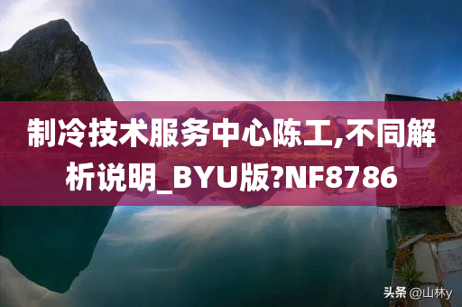 制冷技术服务中心陈工,不同解析说明_BYU版?NF8786