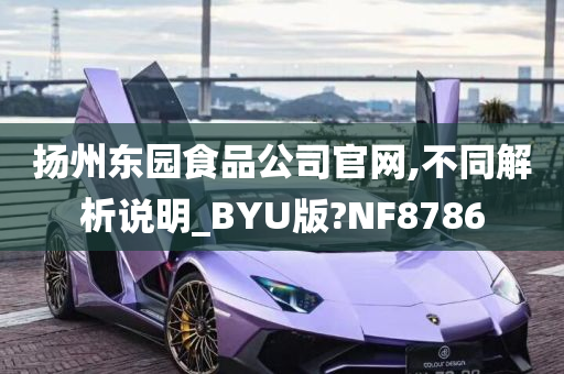 扬州东园食品公司官网,不同解析说明_BYU版?NF8786