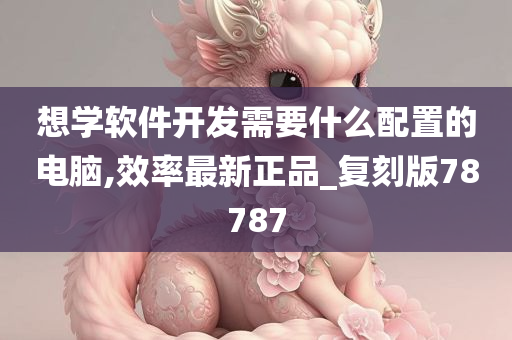 想学软件开发需要什么配置的电脑,效率最新正品_复刻版78787