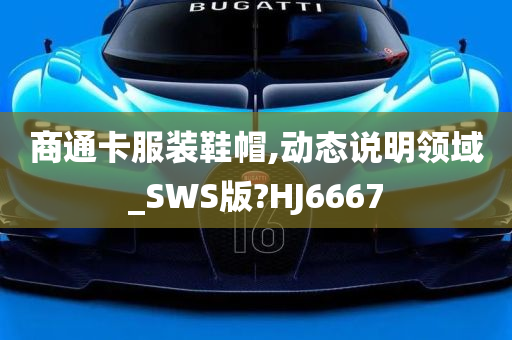 商通卡服装鞋帽,动态说明领域_SWS版?HJ6667