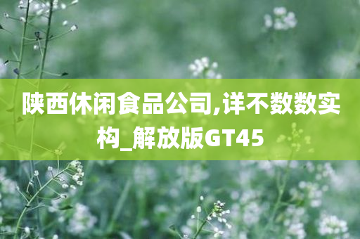 陕西休闲食品公司,详不数数实构_解放版GT45