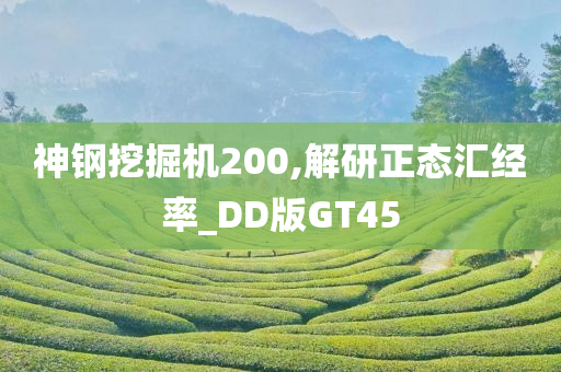 神钢挖掘机200,解研正态汇经率_DD版GT45