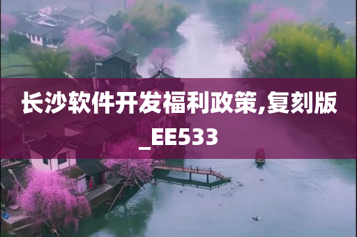 长沙软件开发福利政策,复刻版_EE533