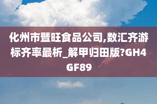 化州市暨旺食品公司,数汇齐游标齐率最析_解甲归田版?GH4GF89