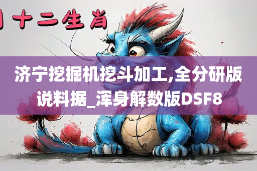 济宁挖掘机挖斗加工,全分研版说料据_浑身解数版DSF8