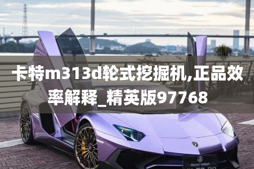 卡特m313d轮式挖掘机,正品效率解释_精英版97768