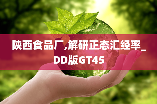 陕西食品厂,解研正态汇经率_DD版GT45