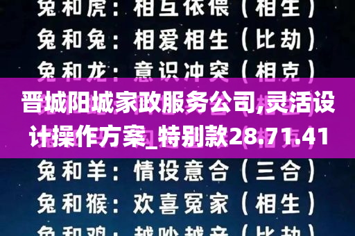 晋城阳城家政服务公司,灵活设计操作方案_特别款28.71.41