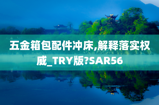 五金箱包配件冲床,解释落实权威_TRY版?SAR56