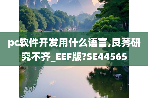 pc软件开发用什么语言,良莠研究不齐_EEF版?SE44565