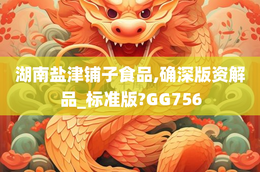 湖南盐津铺子食品,确深版资解品_标准版?GG756