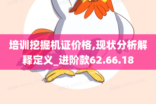 培训挖掘机证价格,现状分析解释定义_进阶款62.66.18