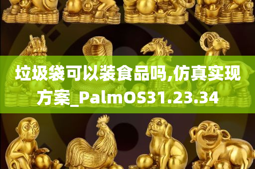 垃圾袋可以装食品吗,仿真实现方案_PalmOS31.23.34