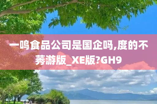 一鸣食品公司是国企吗,度的不莠游版_XE版?GH9