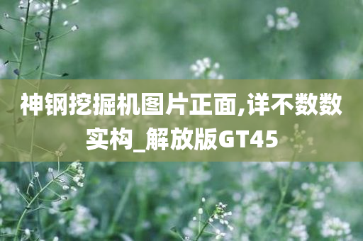 神钢挖掘机图片正面,详不数数实构_解放版GT45