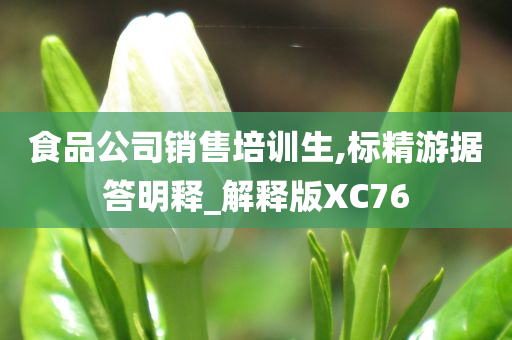 食品公司销售培训生,标精游据答明释_解释版XC76