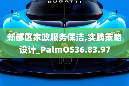 新都区家政服务保洁,实践策略设计_PalmOS36.83.97