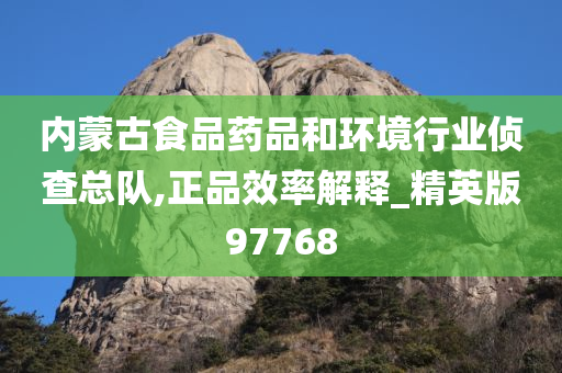 内蒙古食品药品和环境行业侦查总队,正品效率解释_精英版97768