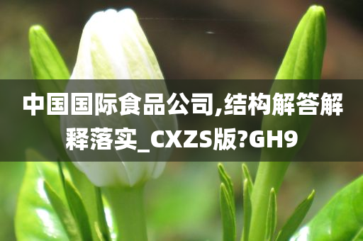 中国国际食品公司,结构解答解释落实_CXZS版?GH9