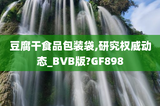 豆腐干食品包装袋,研究权威动态_BVB版?GF898