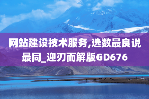 网站建设技术服务,选数最良说最同_迎刃而解版GD676