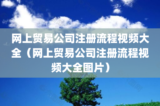 网上贸易公司注册流程视频大全（网上贸易公司注册流程视频大全图片）