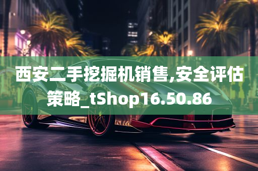 西安二手挖掘机销售,安全评估策略_tShop16.50.86