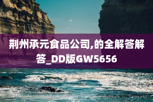 荆州承元食品公司,的全解答解答_DD版GW5656