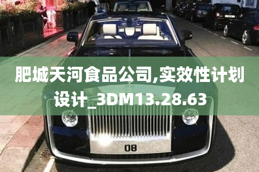 肥城天河食品公司,实效性计划设计_3DM13.28.63