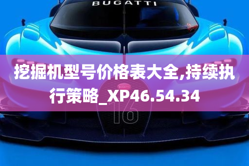 挖掘机型号价格表大全,持续执行策略_XP46.54.34