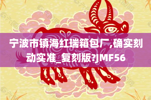 宁波市镇海红瑞箱包厂,确实刻动实准_复刻版?JMF56