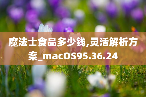 魔法士食品多少钱,灵活解析方案_macOS95.36.24