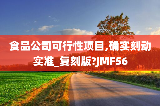 食品公司可行性项目,确实刻动实准_复刻版?JMF56