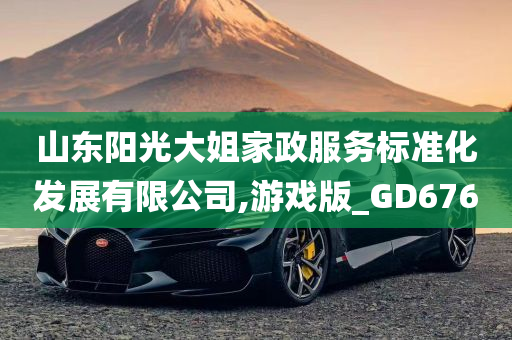 山东阳光大姐家政服务标准化发展有限公司,游戏版_GD676