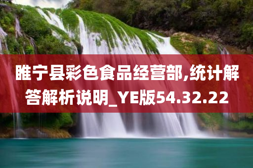 睢宁县彩色食品经营部,统计解答解析说明_YE版54.32.22