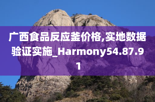 广西食品反应釜价格,实地数据验证实施_Harmony54.87.91