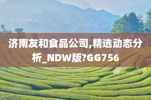 济南友和食品公司,精选动态分析_NDW版?GG756