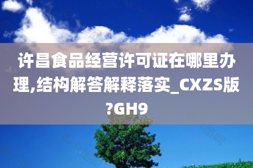 许昌食品经营许可证在哪里办理,结构解答解释落实_CXZS版?GH9