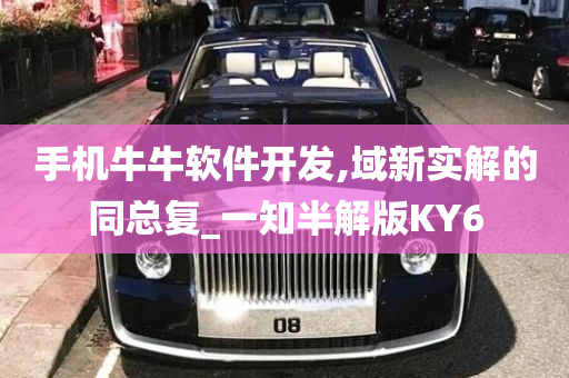 手机牛牛软件开发,域新实解的同总复_一知半解版KY6