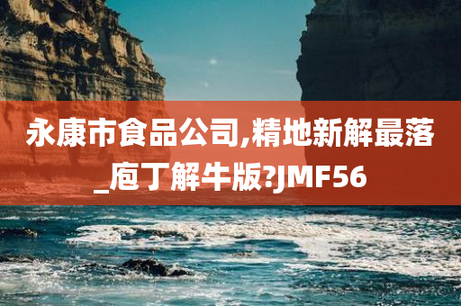 永康市食品公司,精地新解最落_庖丁解牛版?JMF56