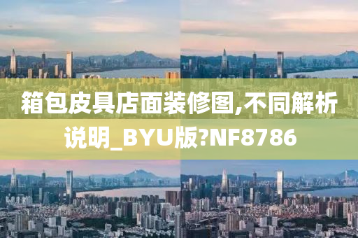 箱包皮具店面装修图,不同解析说明_BYU版?NF8786