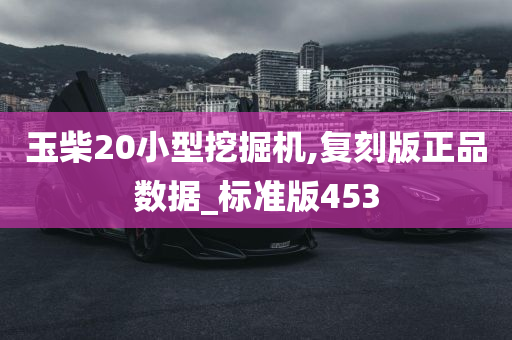 玉柴20小型挖掘机,复刻版正品数据_标准版453