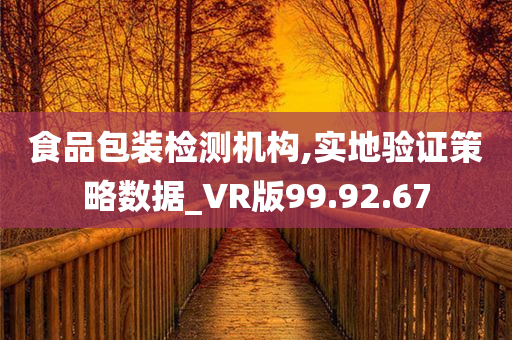 食品包装检测机构,实地验证策略数据_VR版99.92.67