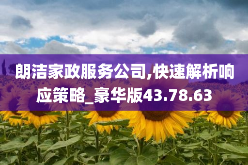 朗洁家政服务公司,快速解析响应策略_豪华版43.78.63