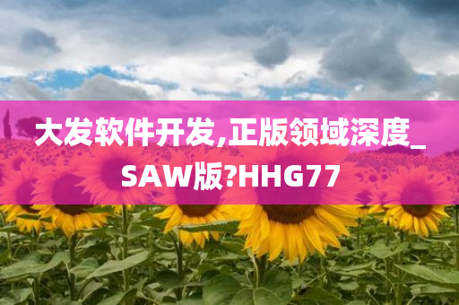 大发软件开发,正版领域深度_SAW版?HHG77