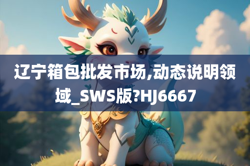 辽宁箱包批发市场,动态说明领域_SWS版?HJ6667