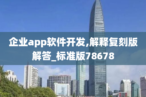 企业app软件开发,解释复刻版解答_标准版78678