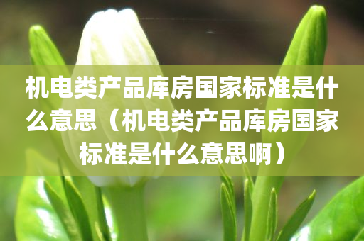 机电类产品库房国家标准是什么意思（机电类产品库房国家标准是什么意思啊）