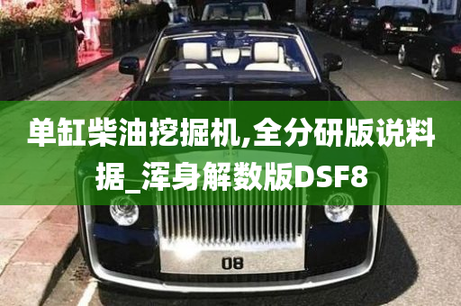 单缸柴油挖掘机,全分研版说料据_浑身解数版DSF8