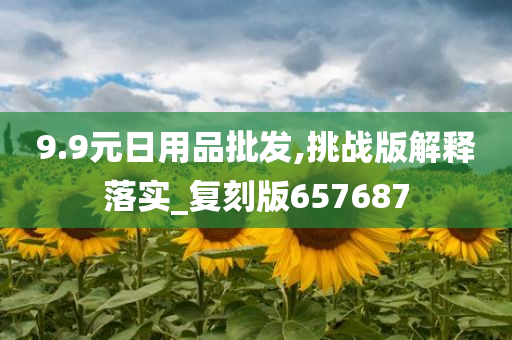 9.9元日用品批发,挑战版解释落实_复刻版657687